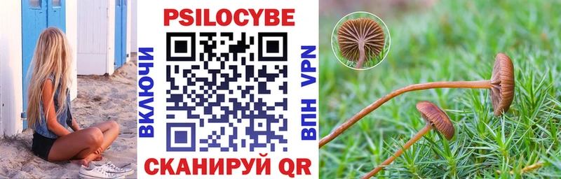 Галлюциногенные грибы MAGIC MUSHROOMS  Купить где  Велиж 